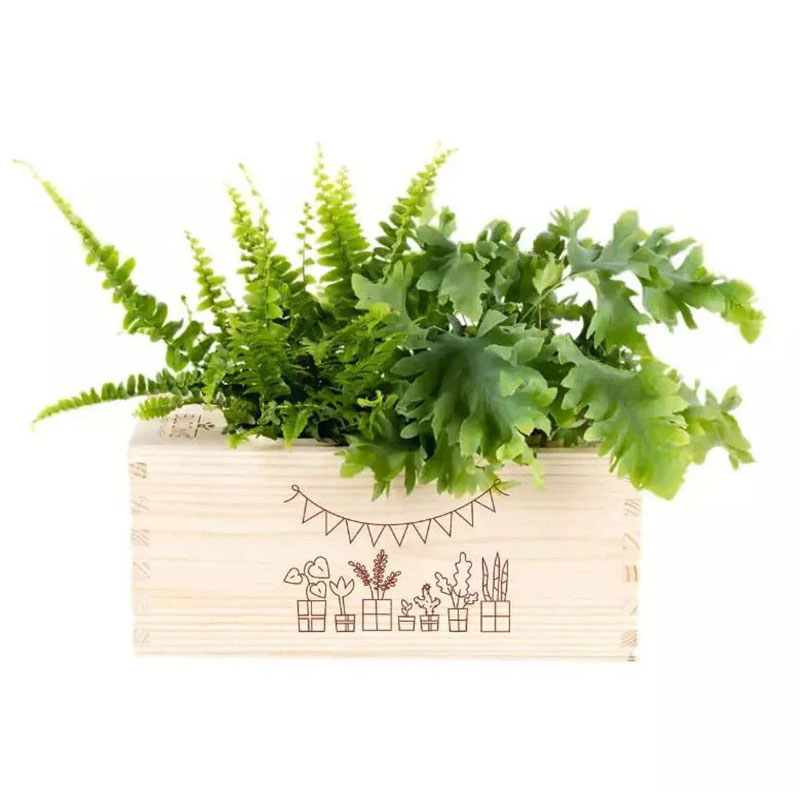 Bloomsbox gefeliciteerd