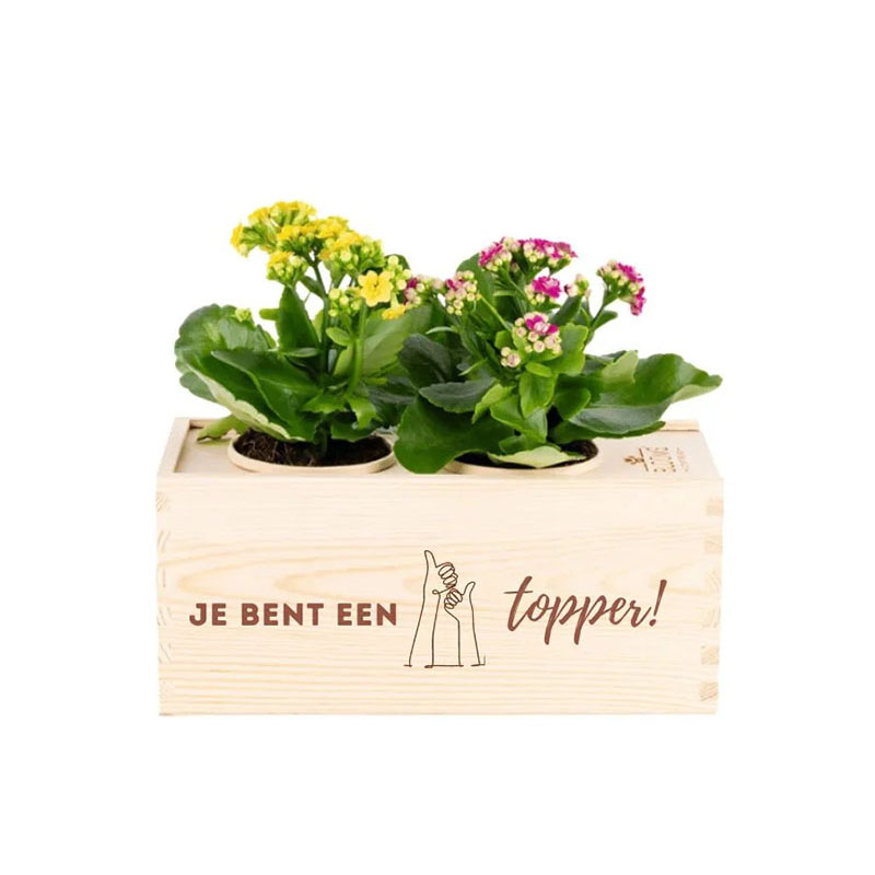 Bloomsbox je bent een topper