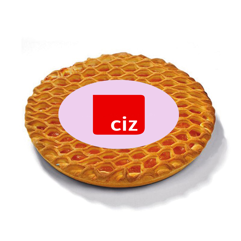 Abrikozenrastervlaai met logo