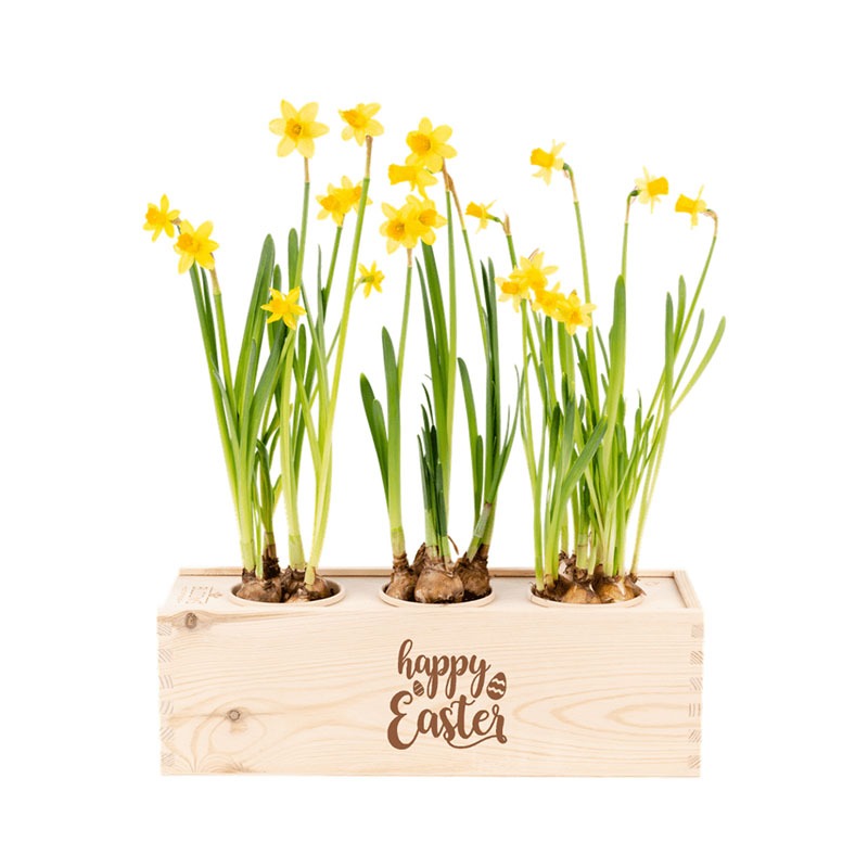 Bloomsbox | Happy Easter