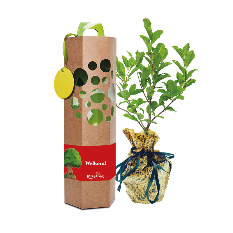 Gepersonaliseerd boompje