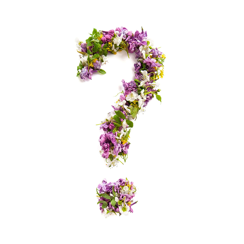 Keuze van de bloemist | WKR-boeket