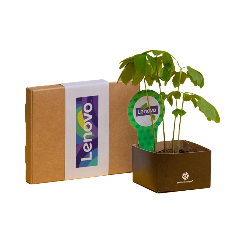 Gepersonaliseerde kweekset