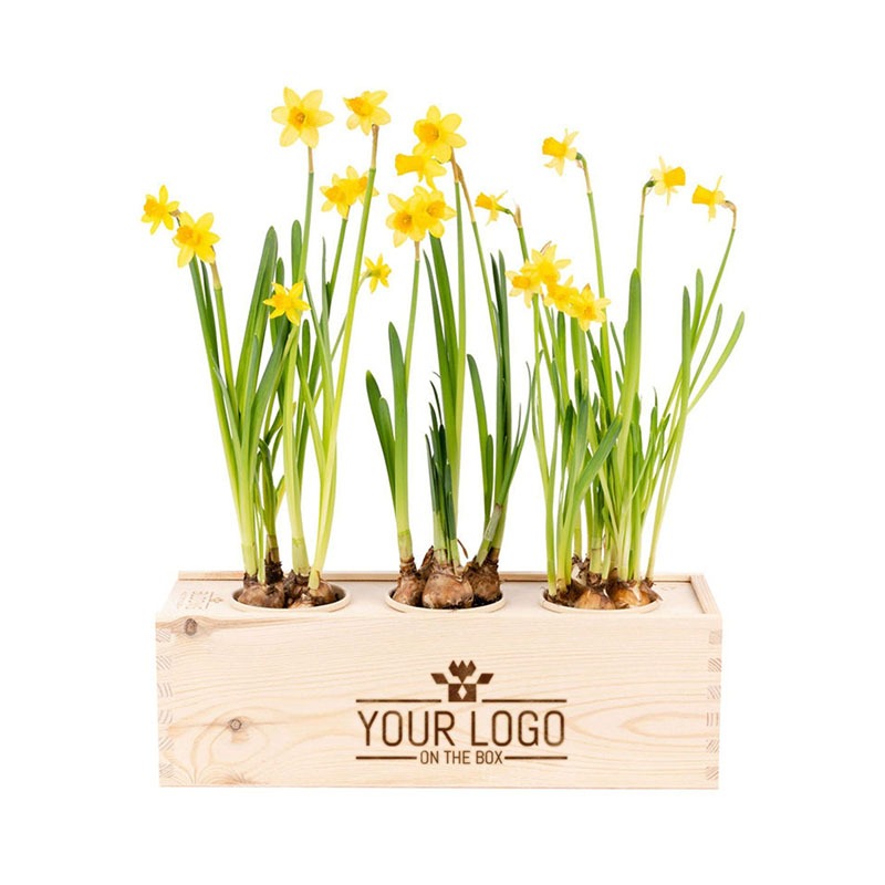 Bloomsbox | Voorjaar