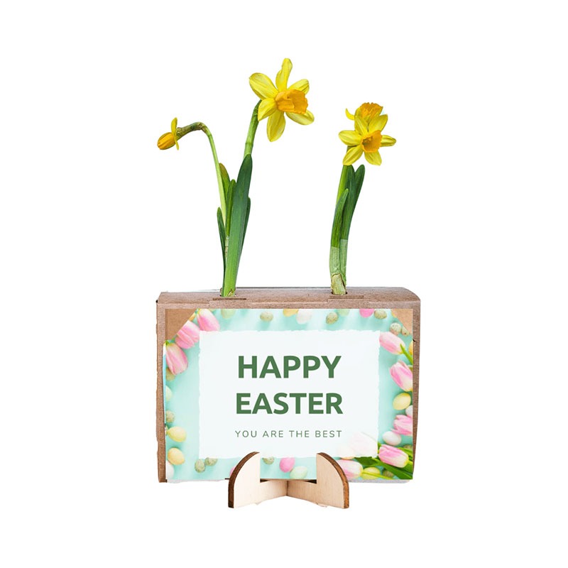 Spring out of the box | Mini