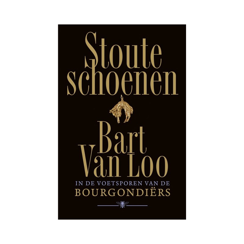 Stoute schoenen | Geschiedenisboek | Bart van Loo