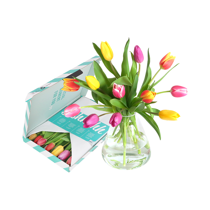 Brievenbus tulpen